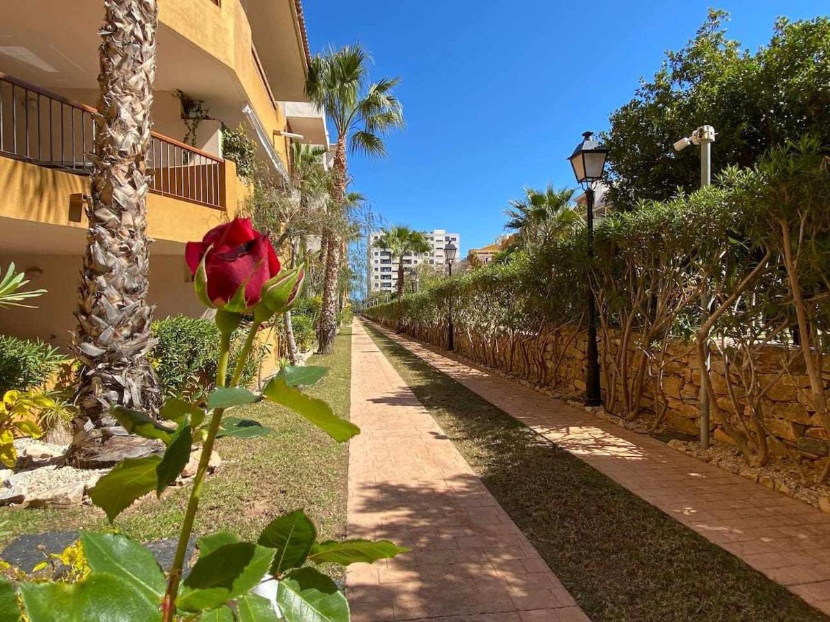 Acogedor Apartamento Al Lado De La Playa 阿利坎特 外观 照片